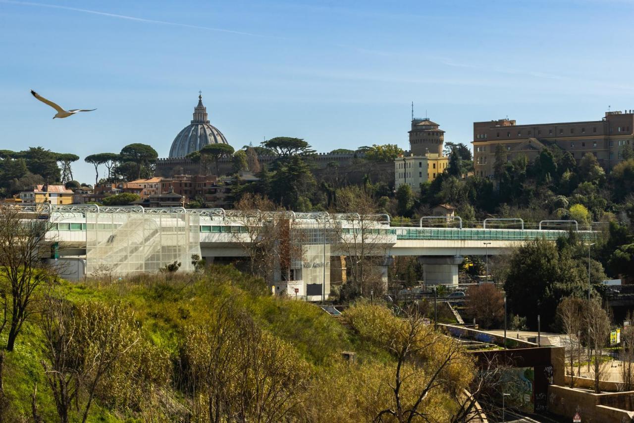 S.pietro ~ A&p Aurelio Rome